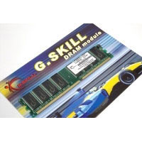 G.skill 512MB (512MB) PC3200 (F1-3200PHU1-512NY)